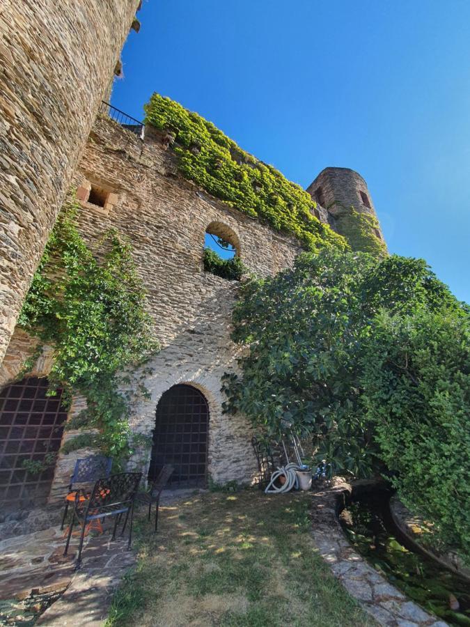 Chambre D'Hotes Au Chateau De Belcastel Exterior foto
