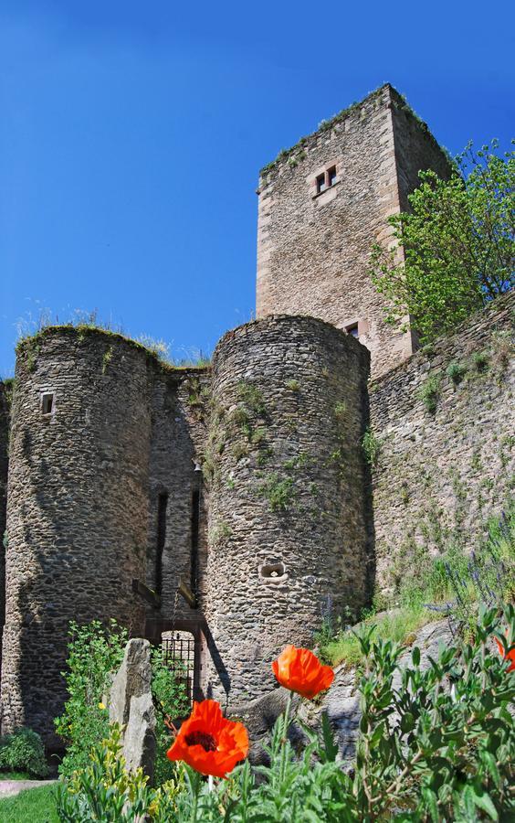 Chambre D'Hotes Au Chateau De Belcastel Belcastel  Exterior foto