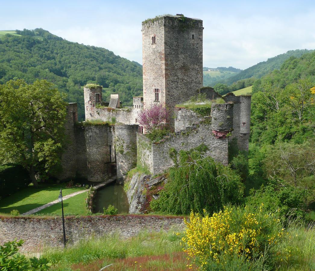 Chambre D'Hotes Au Chateau De Belcastel Belcastel  Exterior foto